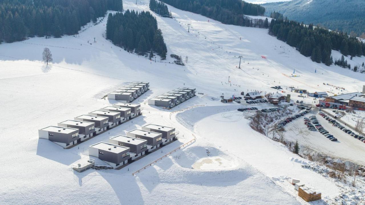 Naturpark Chalets Lambrecht By Alps Resorts 상트램브레흐트 외부 사진